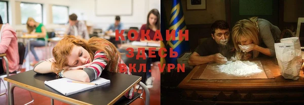 spice Абаза