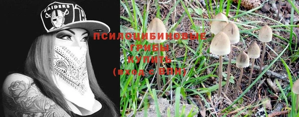 прущие крисы Абдулино