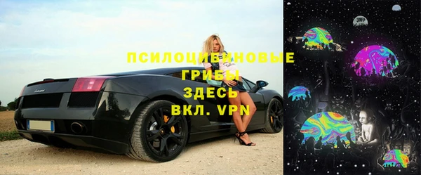 спайс Алзамай