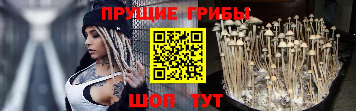 Галлюциногенные грибы ЛСД Дубна