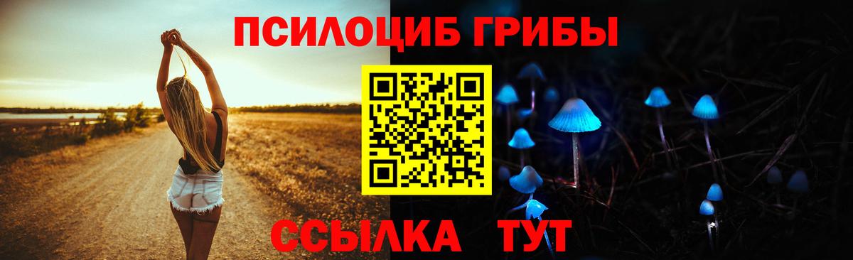 Дубна  Псилоцибиновые грибы MAGIC MUSHROOMS  Вход с VPN  Псилоцибиновые грибы Cubensis 