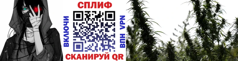 Канабис White Widow  где можно купить   Дубна 